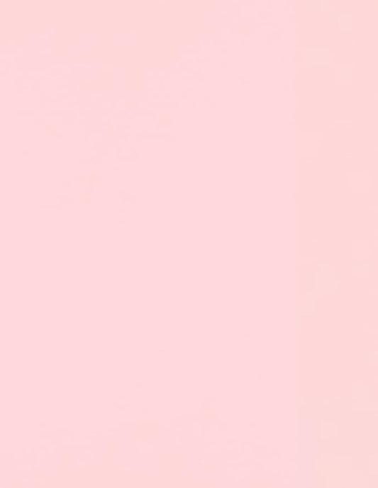 LUXPaper 8.5" x 11" Paper | Letter Size | Candy Pink | 80lb. Text | 1, 000 Qty by LUXPaper