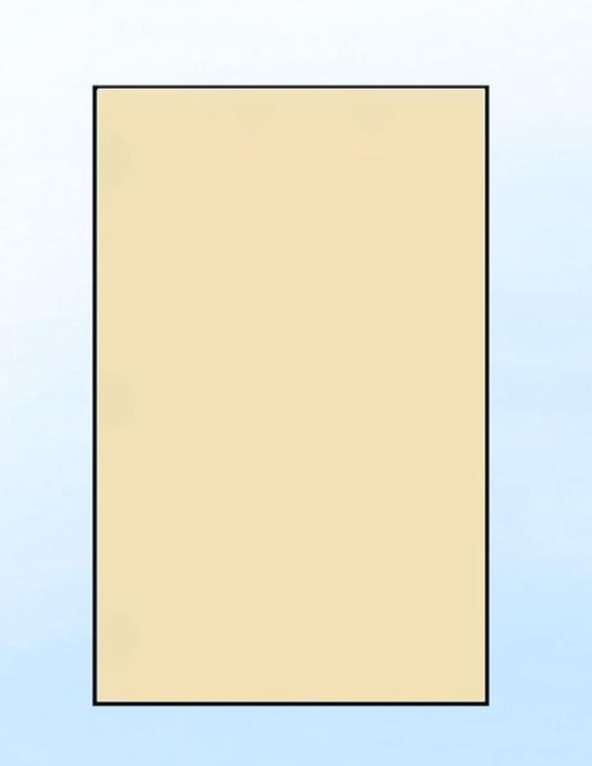 Limited Papers Colored Copy Paper – 24lb/60lb Text, 90 gsm, Tabloid Size by Limited+Papers