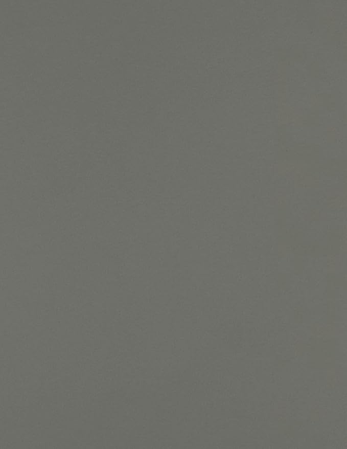 LUXPaper 8.5" x 11" Paper | Letter Size | Smoke Gray | 80lb. Text | 500 Qty by LUXPaper