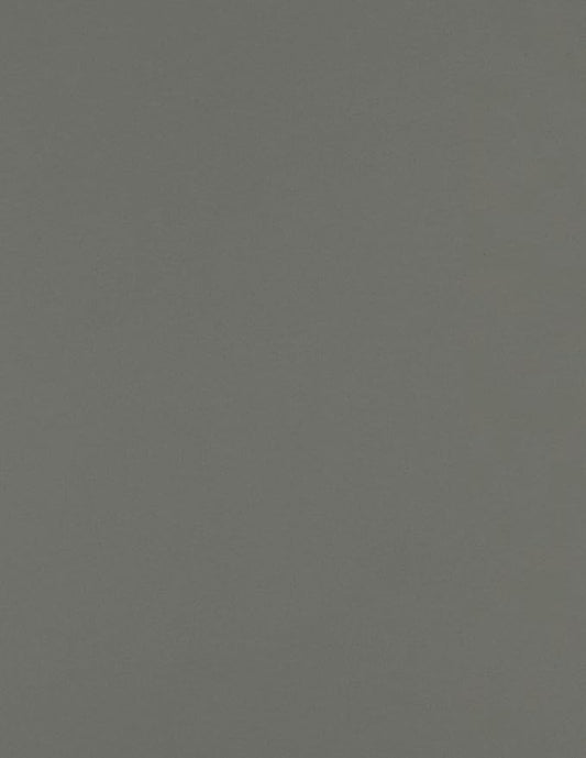 LUXPaper 8.5" x 11" Paper | Letter Size | Smoke Gray | 80lb. Text | 250 Qty by LUXPaper