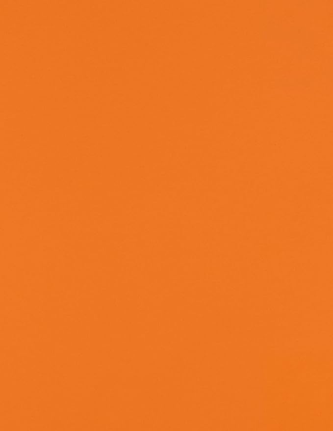 LUXPaper 8.5" x 11" Paper | Letter Size | Mandarin Orange | 80lb. Text | 1 by LUXPaper