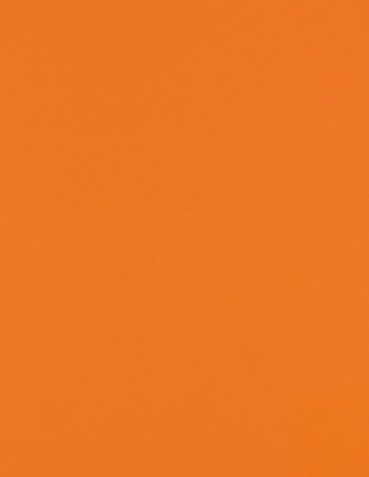 LUXPaper 8.5" x 11" Paper | Letter Size | Mandarin Orange | 80lb. Text | 1 by LUXPaper