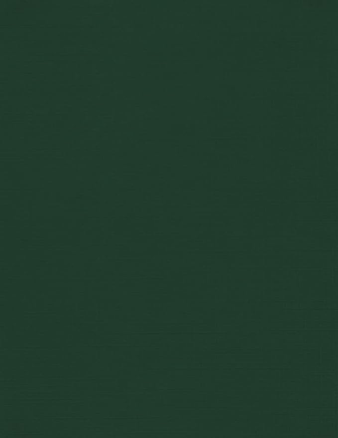 LUXPaper 8.5" x 11" Cardstock | Letter Size | Green Linen | 100lb. Cover | 1 by LUXPaper