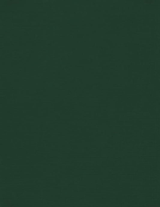LUXPaper 8.5" x 11" Cardstock | Letter Size | Green Linen | 100lb. Cover | 250 by LUXPaper