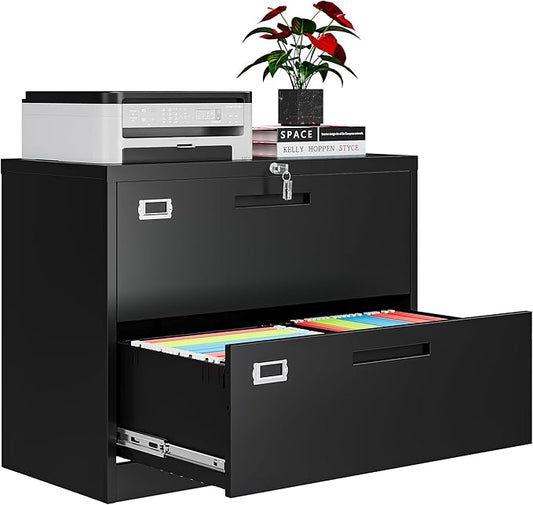 AFAIF 2 Drawer File Cabinets for Home Office, Metal Filing Cabinet by AFAIF