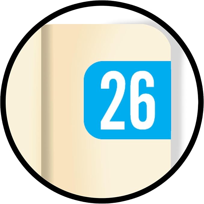 MINI 2026 Year Stickers, Doctor Stuff 2026 Chart Stickers, Light Blue Color - Image 9