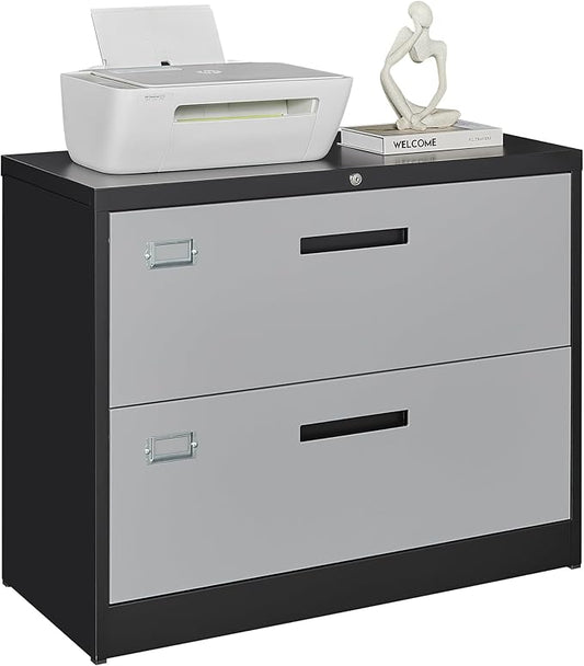 Letaya File Cabinet with Lock-Lateral 2 Drawer Metal Filing by LetayaMetalCabinets