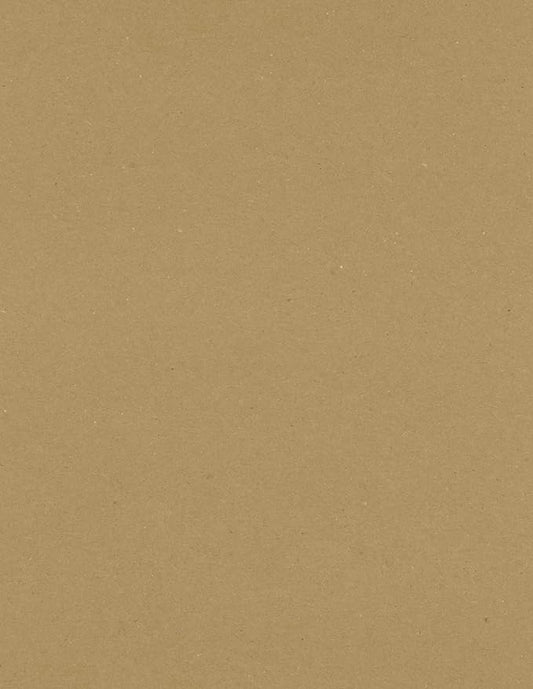 LUXPaper 8.5" x 11" Paper | Letter Size | Grocery Bag Brown | 70lb. Text | 250 by LUXPaper