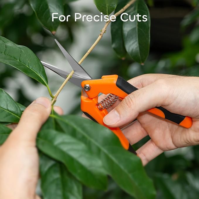 GROWNEER 3 Packs 6.5 Inch Pruning Shears Gardening Hand Pruning Snips Gardening - Image 2