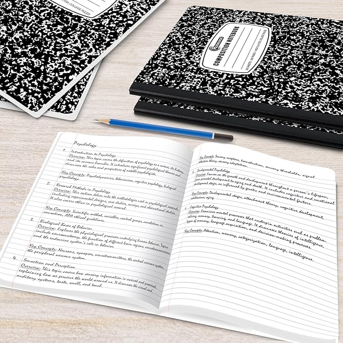 Rosmonde 2000 Pack Composition Notebooks Bulk, College Ruled, Full Pallet of - Image 5