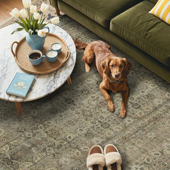 GENIMO 8x10 Area Rugs for Living Room, Machine Washable Non Slip Vintage Rugs - Image 3