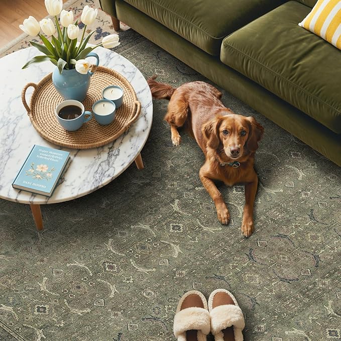 GENIMO 9x12 Area Rugs for Living Room, Machine Washable Non Slip Vintage Rugs - Image 3