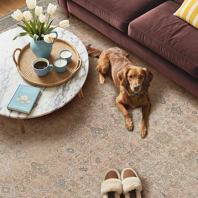 GENIMO 6x9 Area Rugs for Living Room, Machine Washable Non Slip Vintage Rugs - Image 3